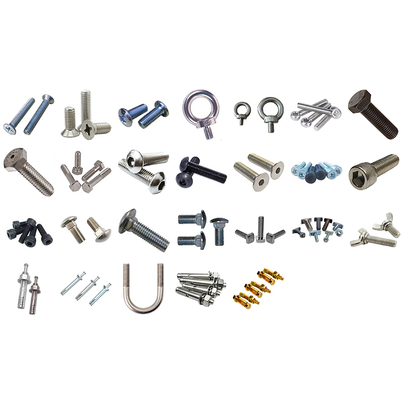 dinh vit oc vit va tac ke 1749777178